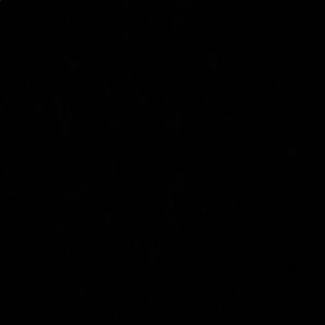 Meet your Posher, Andi